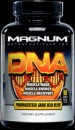 Magnum Nutraceuticals DNA