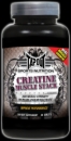 TapouT Sports Nutrition Creatine Muscle Stack