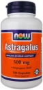 NOW Astragalus