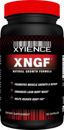 Image for Xyience - XNGF