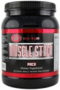 Muscle Fortress Muscle Stack Packs