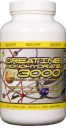 SciFit Creatine 3000