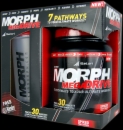 iSatori Morph MegaDrive