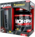 iSatori Morph MegaDrive