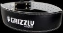 Grizzly 4