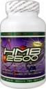 SciFit HMB 2500