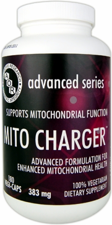 Image for AOR - Mito Charger