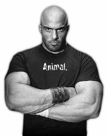 Футболка Animal - купить Украина, Киев.