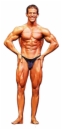 Cherry Bombs Men's Posing Suit