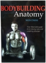 Bodybuilding Anatomy