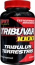 S.A.N. Tribuvar 1000