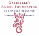 Donation Gabrielle's Angel Foundation