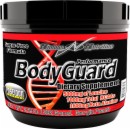 Bodyguard