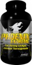 Better Body Sports Phoenix Extreme